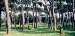 Lesík v Ostii Antike